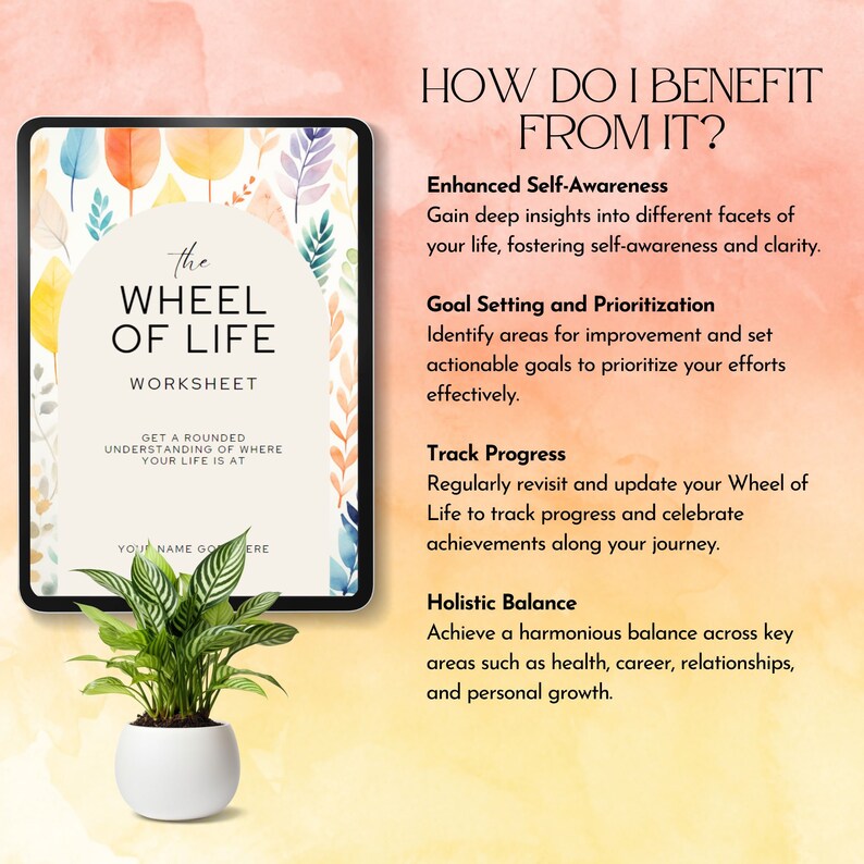 Wheel of Life Worksheet Wheel of Balance Life Goal Setting Coaching ...