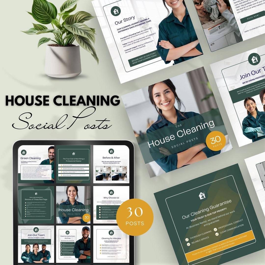 HOUSE CLEANING BIO EXAMPLES visual data 8