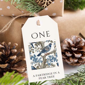 12 Tage Weihnachtsgeschenkanhänger 12 Tage Weihnachtskarte elegantes druckbares Geschenkanhänger PDF zum selbst ausdrucken