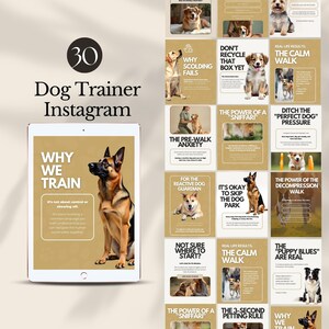 May include: A digital tablet displays a presentation titled "Dog Trainer Instagram" with the number 30 in a circle. The presentation includes text and images about dog training, such as "Why We Train" and "The Calm Walk."