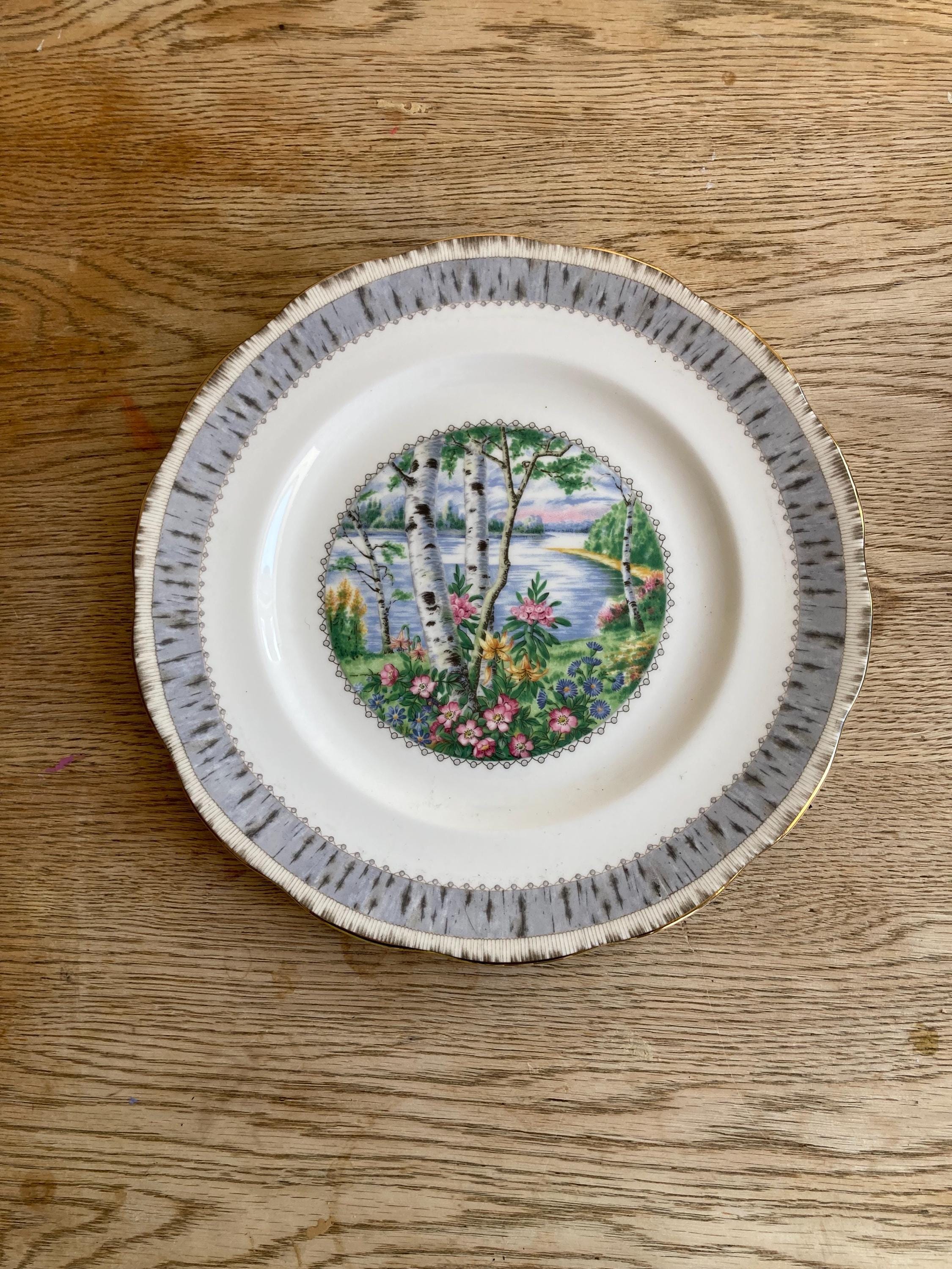 Royal Albert Silver Birch 10