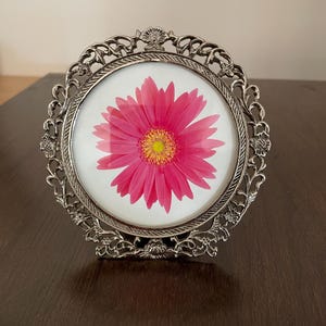 May include: A circular silver-toned metal picture frame with an ornate, filigree-style border featuring floral motifs. The frame holds a centered, high-resolution print of a vibrant pink gerbera daisy flower with a yellow center on a white background.