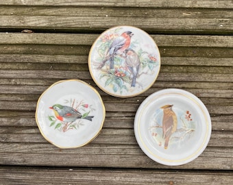 Vintage Ceramic Bird Plates Set of 3 Bone China Small Decor
