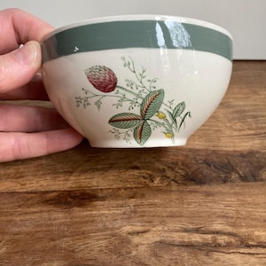 Może przedstawiać: Biała ceramiczna miska z zielonym paskiem wokół krawędzi. Misa ma kwiatowy wzór z czerwonymi, zielonymi i żółtymi akcentami. Misa jest trzymana w dłoni.