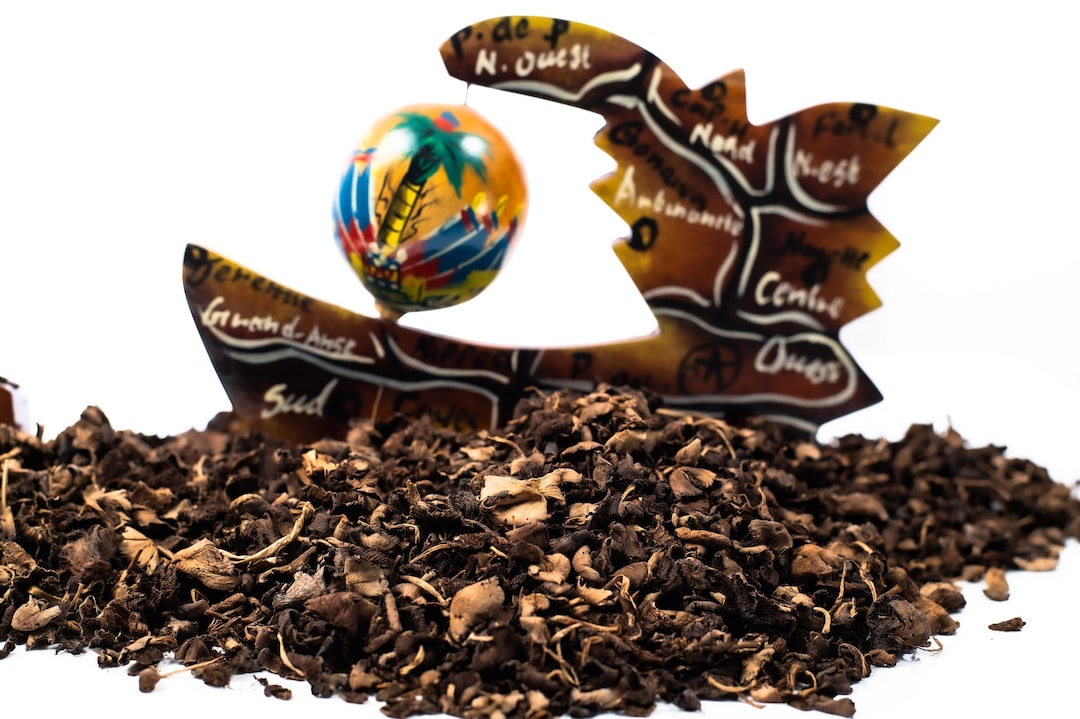 Djondjon Haiti Haitian Dried Black Mushroom for Haitian Etsy