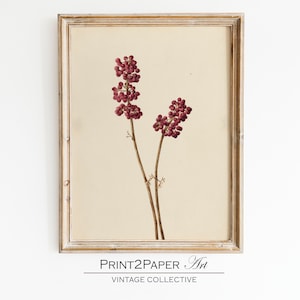 Antique Botanical Watercolor Painting | Vintage Print Farmhouse Berry Art Digital PRINTABLE | Eclectic Art Download | Art Home Decor