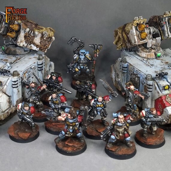 Painted Army Space Wolves, PREMIUM LEVEL. Commission