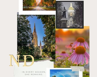 Notre Dame Photography Lookbook | 2026 Calendar Preview | Limited Edition Campus Photography | Digital PDF Download
