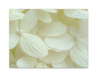 In Full Bloom Mother's Day Gift Bundle | Floral Photography Print + Candle + Optional Note Cards