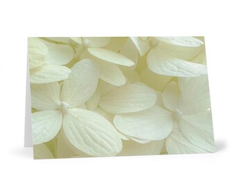 White Hydrangea Photo Greeting Cards | Floral Note Cards, Pack of 7