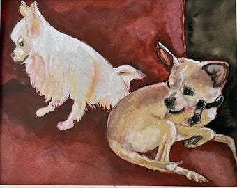 Pet Portrait