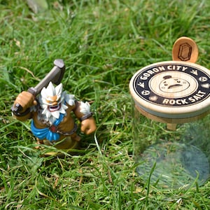 Goron City Rock Salt - 500ml Kitchen Storage Jar w/ spoon - The Legend of Zelda Tears of the Kingdom/ Breath of the Wild Gift