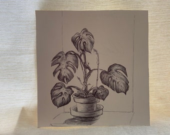 Monstera pen drawing plant illustration one of a kind hand drawn artwork