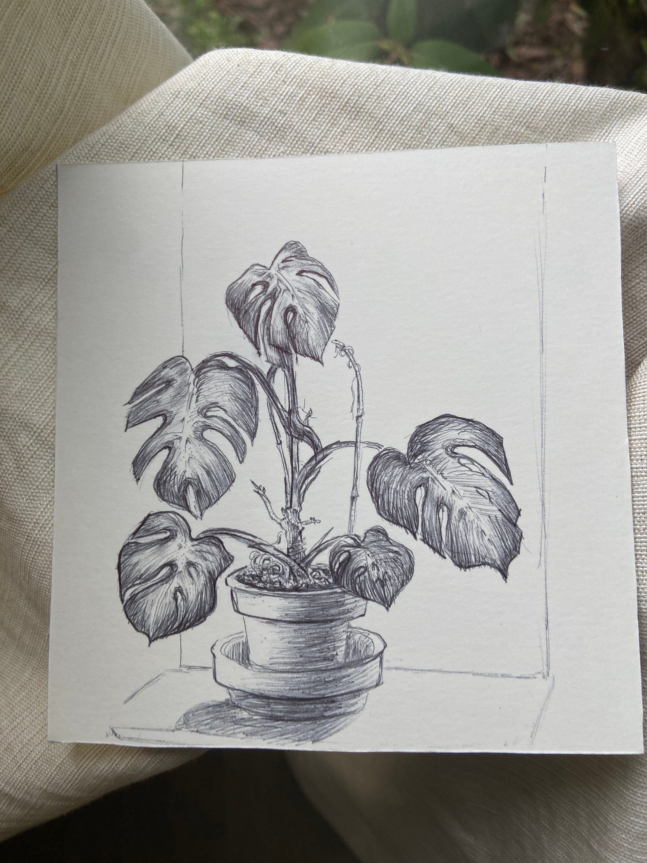 Monstera Pen Drawing Plant Illustration One of a Kind Hand Drawn Artwork -  Etsy