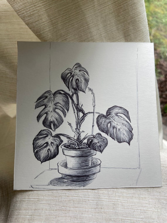 Monstera Pen Drawing Plant Illustration One of a Kind Hand Drawn Artwork -  Etsy
