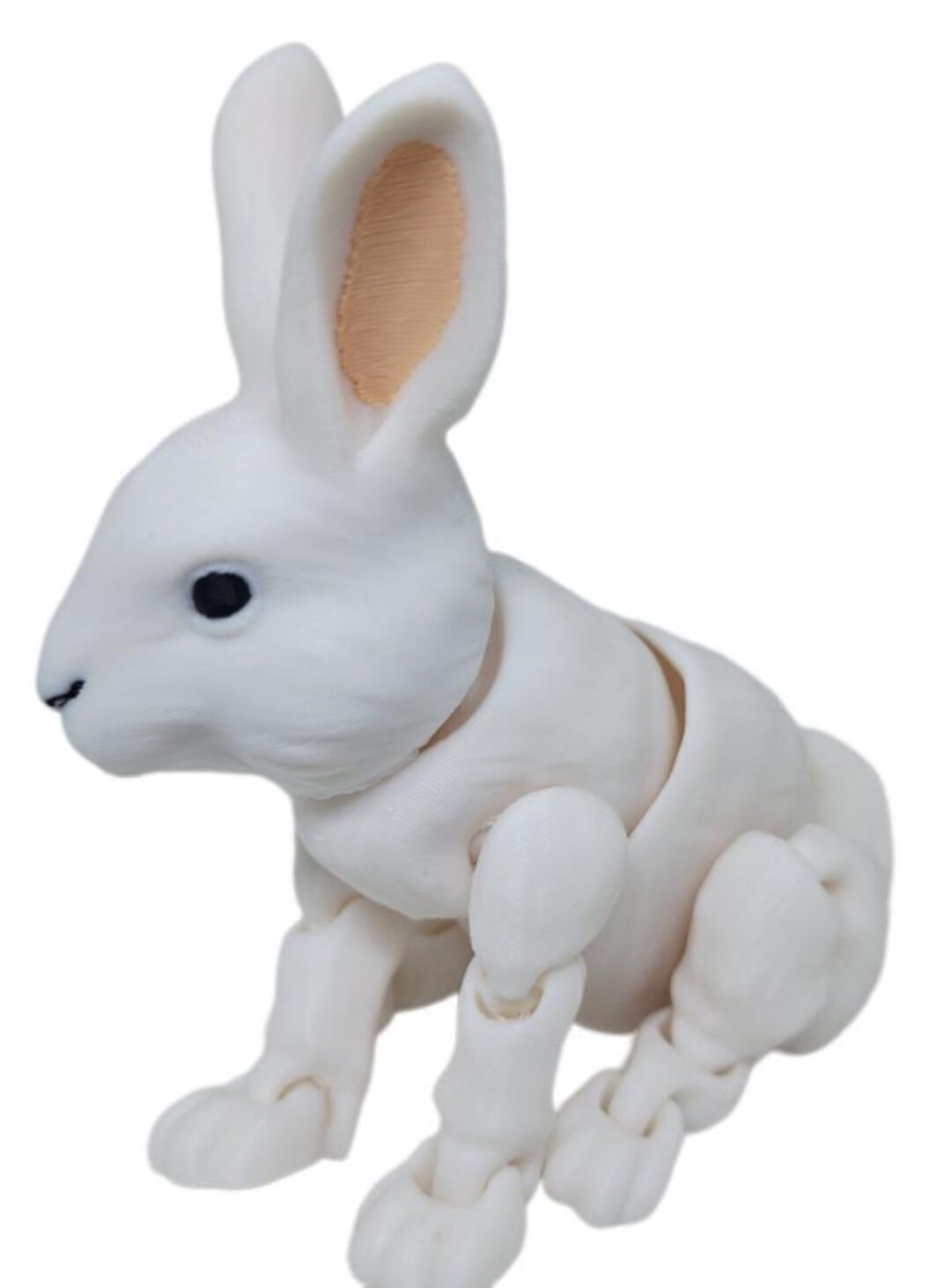 Exclusive3d Rabbit Large 5
