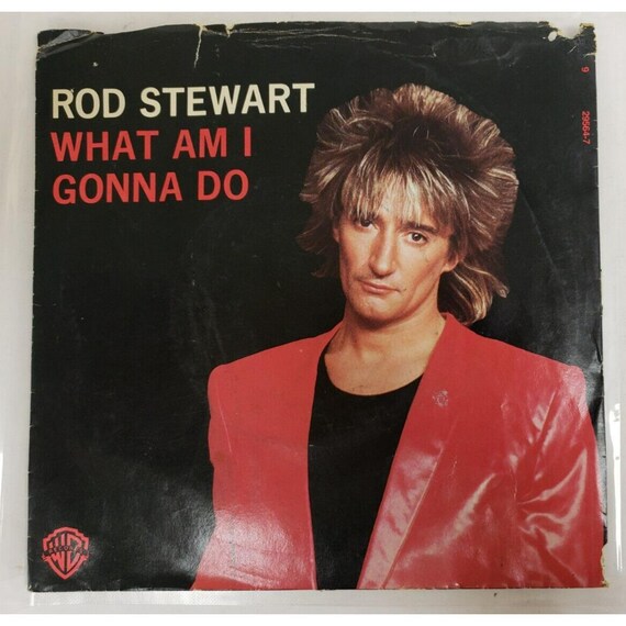 レコード 45 RPM ビニール ロッド・スチュワート - What Am I Gonna Do