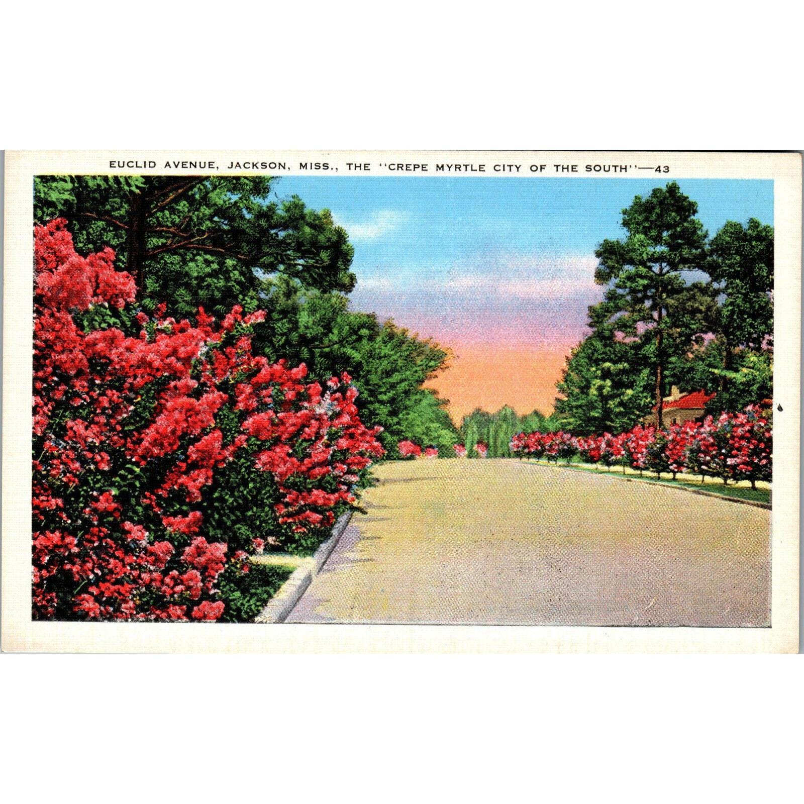 Postcard,Vintage, Euclid Ave, Jackson, MS, Crepe Myrtle, 1920's (PC82)
