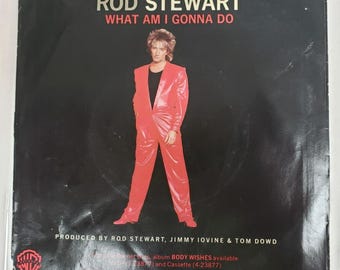 レコード 45 RPM ビニール ロッド・スチュワート - What Am I Gonna Do