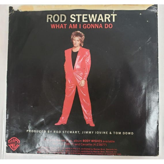 レコード 45 RPM ビニール ロッド・スチュワート - What Am I Gonna Do