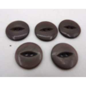 May include: Five brown oval buttons with two holes each. The buttons have a slightly raised, shiny surface.