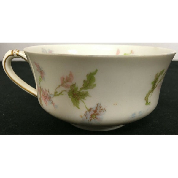 Haviland France Haviland & Co Limoges Tea Cup with Multicolored Flowers