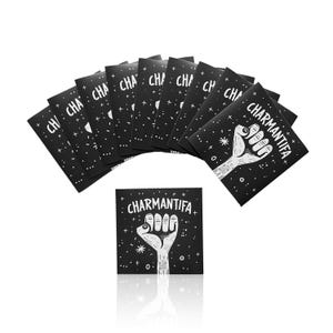10er Bundle Promo Sticker "CHARMANTIFA" Aufkleber - FROIDE | linke Hunde sticker dog gegen rechts no nazis LGBTQ+ hund antifa