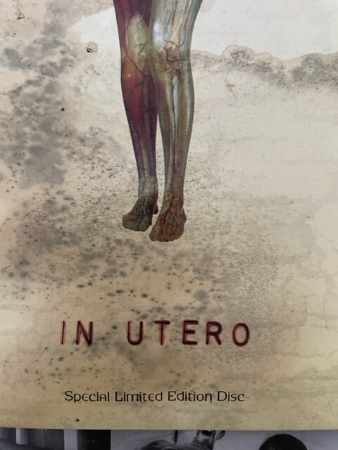 Nirvana-in Utero. Special Limited Edition Clear Vinyl - Etsy