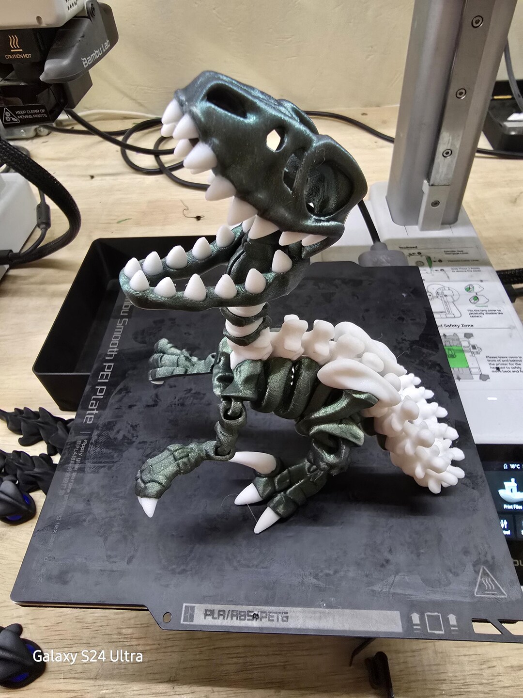 3D Printed Articulated Raptor Skeleton - Etsy