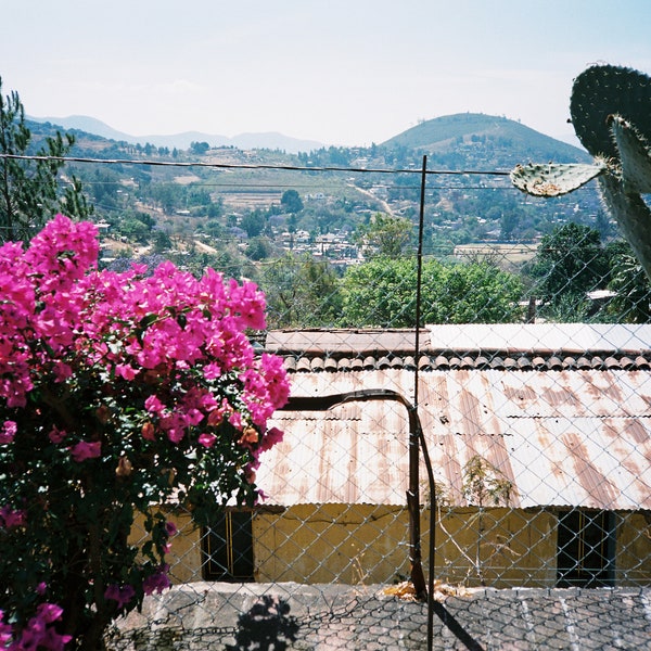 Flowers and a view in Oaxaca, Mexico - 35mm Film Print