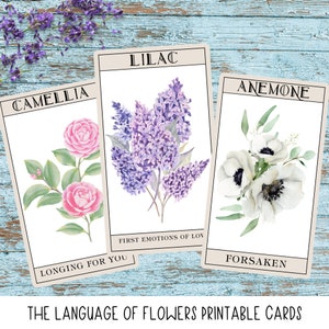 The Language of Flowers Printable Tarot Style Karten | Transparente PNG-| Vintage Stil Dekor | Druckbares Dekor