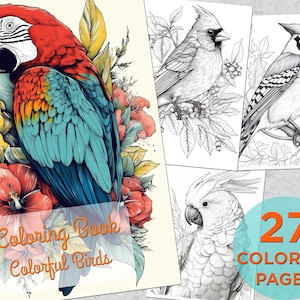 May include: A coloring book featuring 27 pages of colorful birds. The cover features a vibrant red and blue macaw surrounded by tropical flowers. The text "Coloring Book Colorful Birds" is displayed on the cover.
