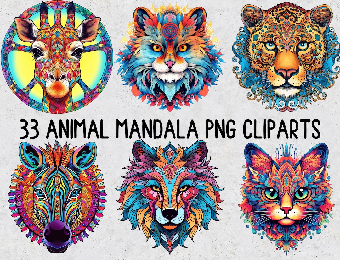 33 Fabulous Colorful Mandala