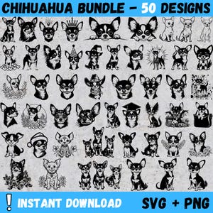 Puede incluir: Una colección de 50 diseños de siluetas en blanco y negro de perros Chihuahua en varias poses y con diferentes accesorios. El texto "Chihuahua Bundle - 50 Designs" está en la parte superior de la imagen. El texto "Instant Download SVG + PNG" está en la parte inferior de la imagen.