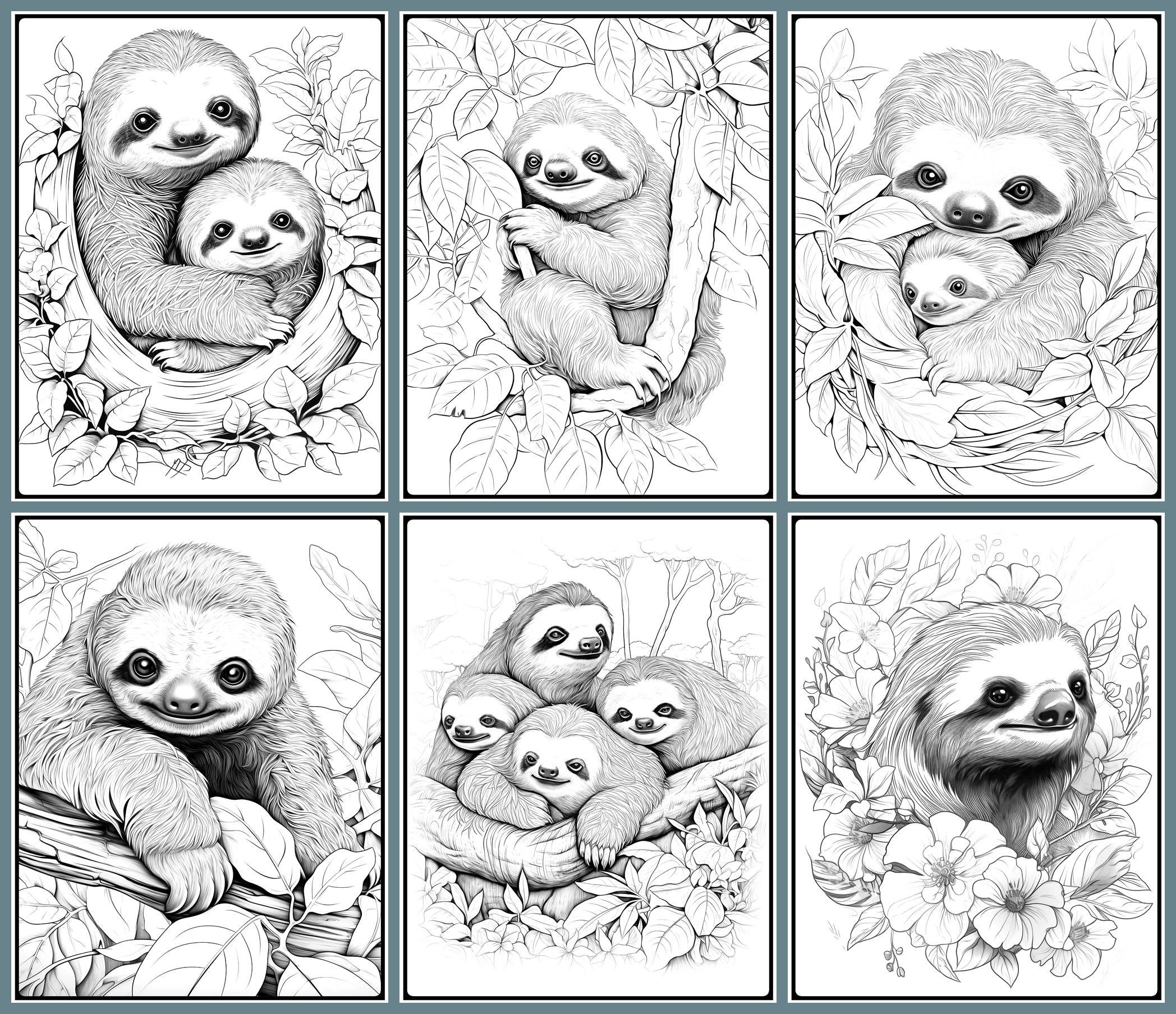 40 Charming Sloths Coloring Pages, Sloths Printable Grayscale Coloring ...