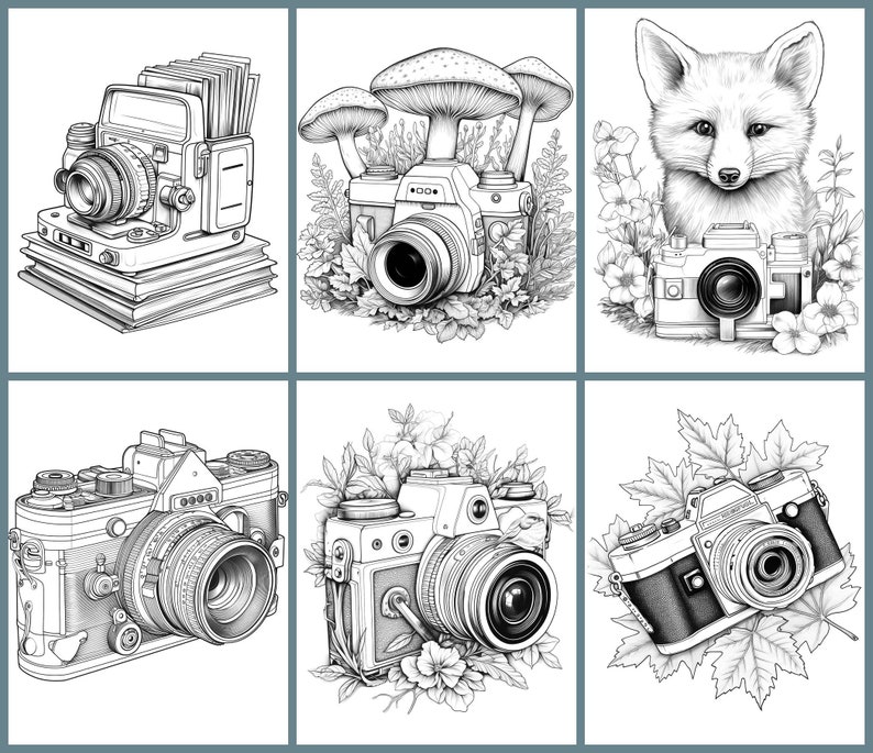 May include: Six black and white illustrations of vintage cameras. The cameras are surrounded by various floral and foliage designs. One camera is on top of a stack of books, another is surrounded by mushrooms, and another is held by a fox.