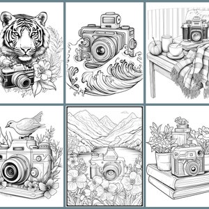 May include: A coloring book page featuring six different illustrations of cameras in various settings. The illustrations include a tiger, a wave, a blanket, a bird, a mountain landscape, and a stack of books.