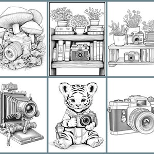 May include: A black and white illustration of six different cameras, including a vintage camera, a camera with a tiger, and a camera with flowers.