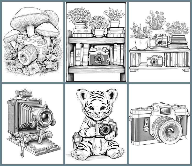May include: A black and white illustration of six different cameras, including a vintage camera, a camera with a tiger, and a camera with flowers.