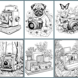 May include: A collection of six black and white illustrations featuring vintage cameras. The illustrations are set against various backgrounds, including a forest, a garden, and a bookshelf.