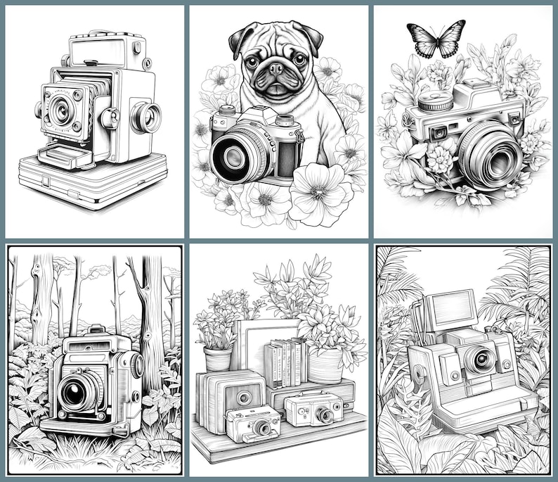 May include: A collection of six black and white illustrations featuring vintage cameras. The illustrations are set against various backgrounds, including a forest, a garden, and a bookshelf.