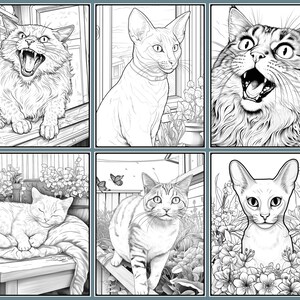 35 Realistic Cats Coloring Pages, Lifelike Cats Printable Grayscale