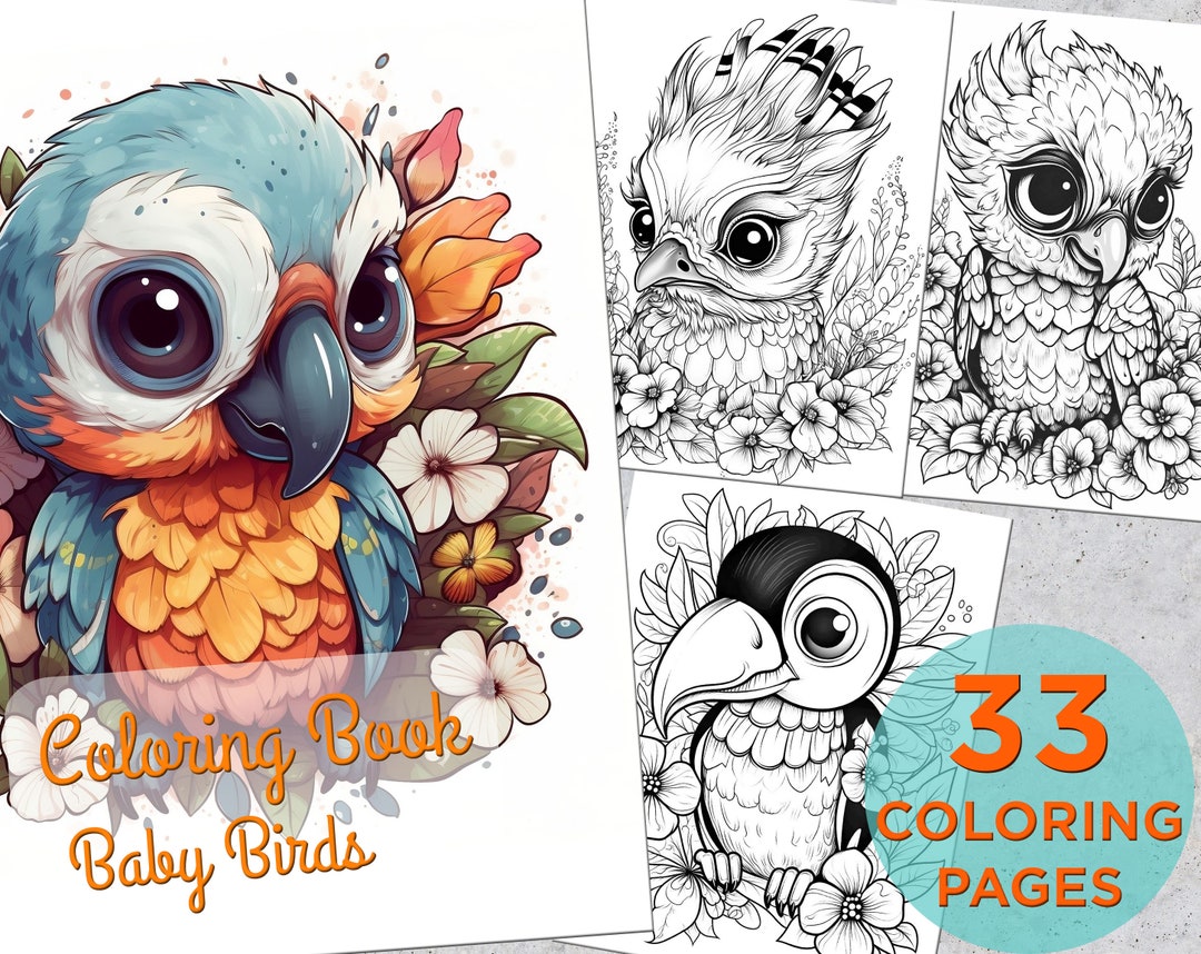 33 Baby Birds Coloring Pages, Adults Printable Coloring Page, Cute Baby
