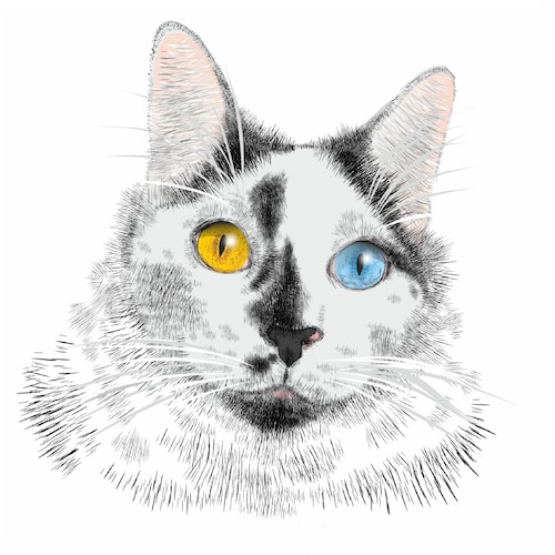 PaperKittyCatCo - Etsy