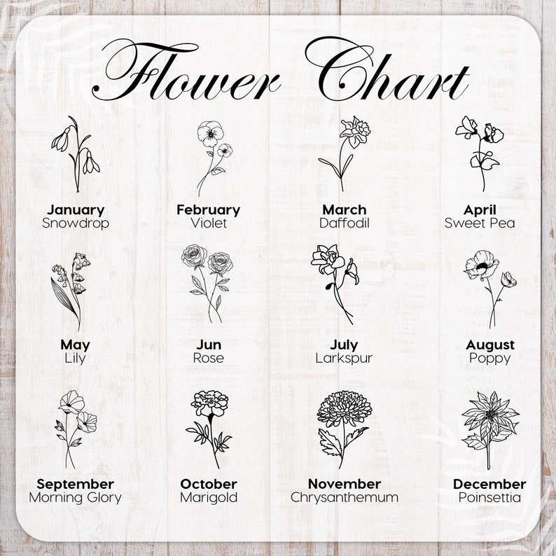 May include: A chart showing the birth month flowers. Each month is represented by a black and white line drawing of a flower. The months are listed in order from January to December. The flowers are: Snowdrop, Violet, Daffodil, Sweet Pea, Lily, Rose, Larkspur, Poppy, Morning Glory, Marigold, Chrysanthemum, and Poinsettia.