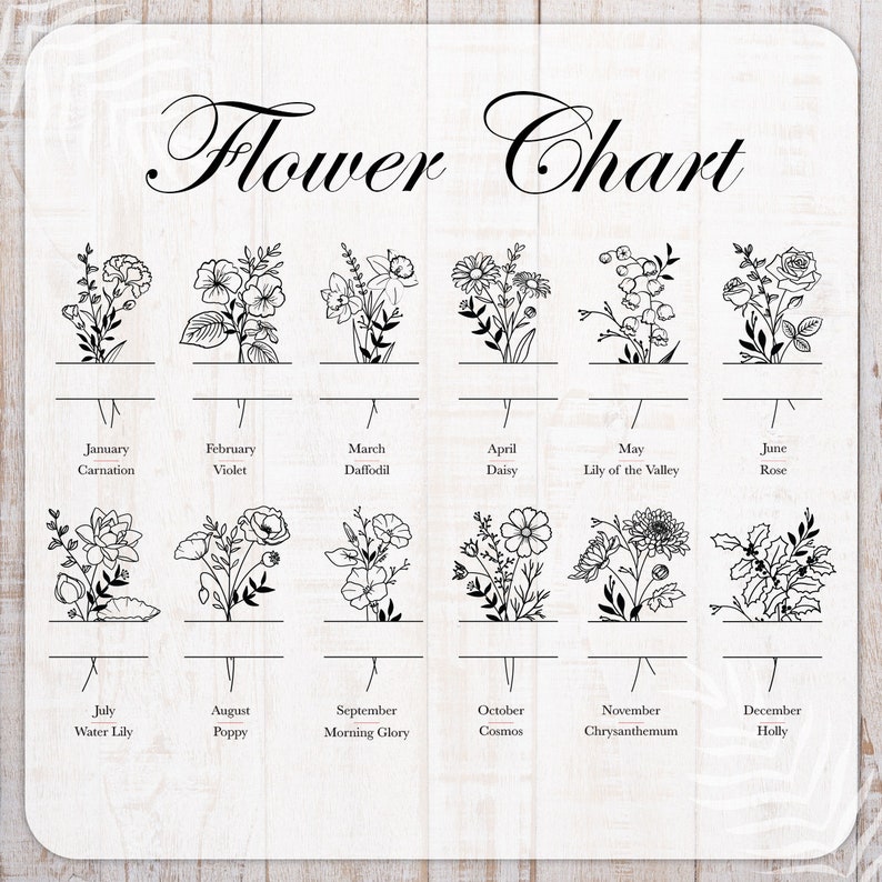 May include: A black and white chart featuring illustrations of flowers for each month of the year. The chart includes the name of the flower and the month it blooms. January: Carnation, February: Violet, March: Daffodil, April: Daisy, May: Lily of the Valley, June: Rose, July: Water Lily, August: Poppy, September: Morning Glory, October: Cosmos, November: Chrysanthemum, December: Holly.