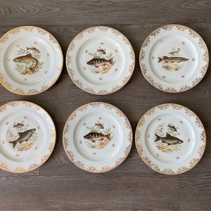 Limoges France Porcelain Plates