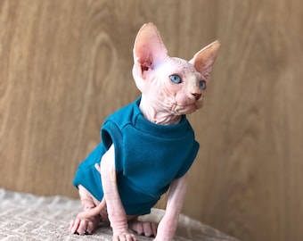 May include: A hairless white kitten with blue eyes wearing a teal blue shirt. The kitten is sitting on a light brown and white patterned surface.