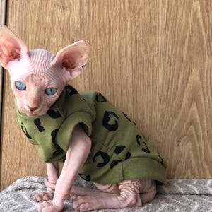 May include: A hairless kitten wearing a green and black leopard print shirt. The kitten is sitting on a brown and white striped blanket.