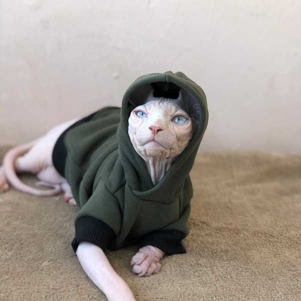 clothes for sphynx, clothes for hairless cat, sphynx hoodie, sweatshirt for pet